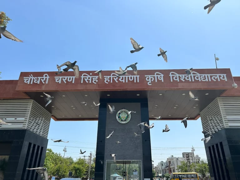 HAU Hisar: छात्रों और सरकार के बीच बनी सहमति, आंदोलन समाप्ति की ओर