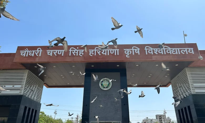 HAU Hisar: छात्रों और सरकार के बीच बनी सहमति, आंदोलन समाप्ति की ओर