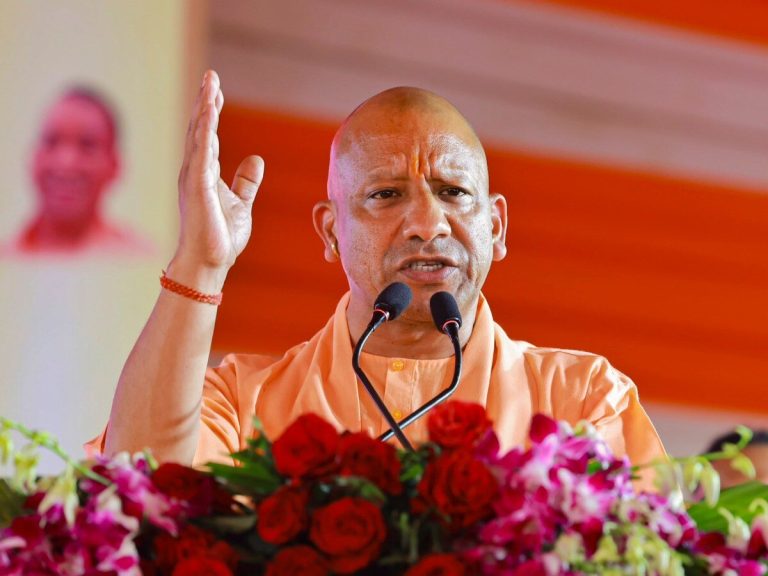 yogi_1741876739827_1742452166466