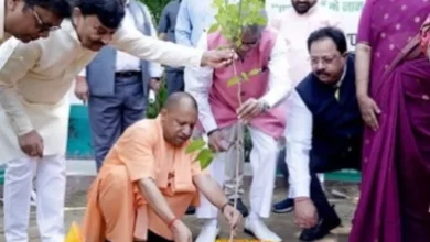 CM Yogi Adityanath Birthday: CM Yogi planted a tree on his 53rd birthday, many leaders including PM Modi and Mayawati congratulated him