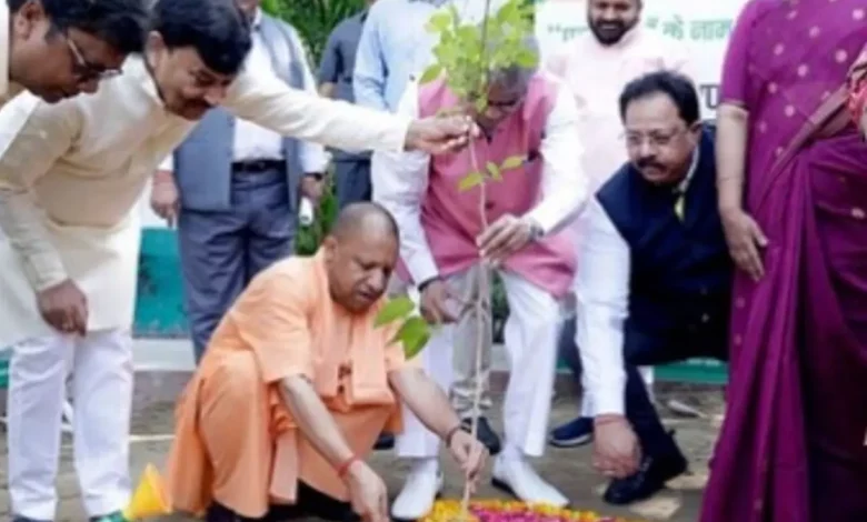 CM Yogi Adityanath Birthday: CM Yogi planted a tree on his 53rd birthday, many leaders including PM Modi and Mayawati congratulated him