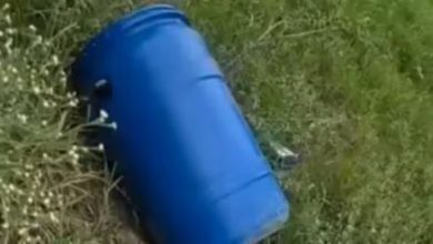 Ludhiana Drum Murder Case: The body found in a blue drum has again increased the sensation, is any serial killer active?