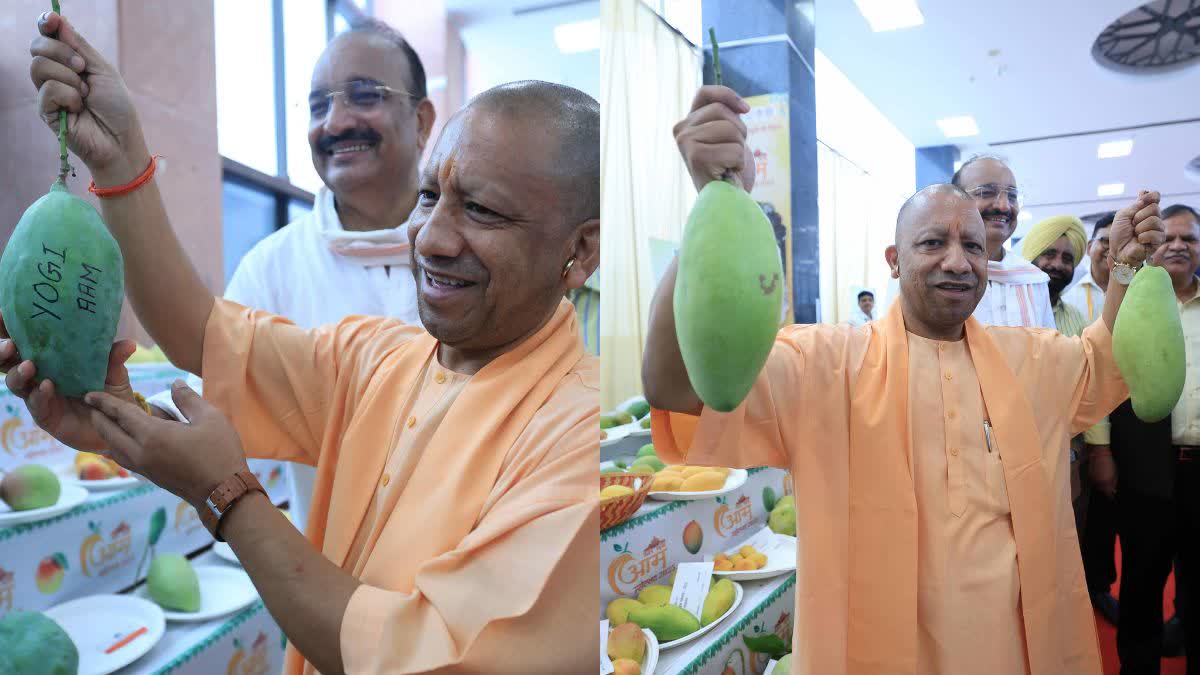 Up Mango Festival 2025: CM Yogi inaugurated Mango Festival 2025, opportunity to taste 800 types of mangoes!