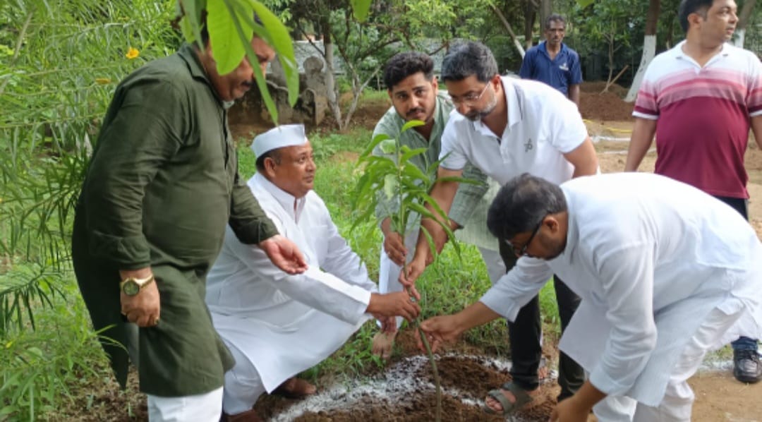 Up Bijnor News: Minister of State for Waqf planted a tree in the name of mother in Bijnor