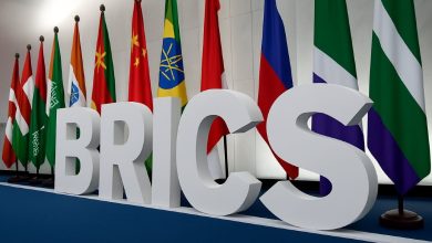 BRICS Summit Brazil: How important is BRICS for India? Prime Minister Modi arrived in Brazil to attend the summit