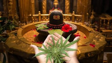 Sawan Somwar 2025: Today is the first Monday of Sawan, know the auspicious time, importance, special worship method and remedies for Jalabhishek