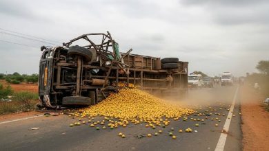 Andra Pradesh Truck Accident: Horrific road accident in Annamayya, Andhra Pradesh, a truck loaded with mangoes overturned, nine workers died tragically