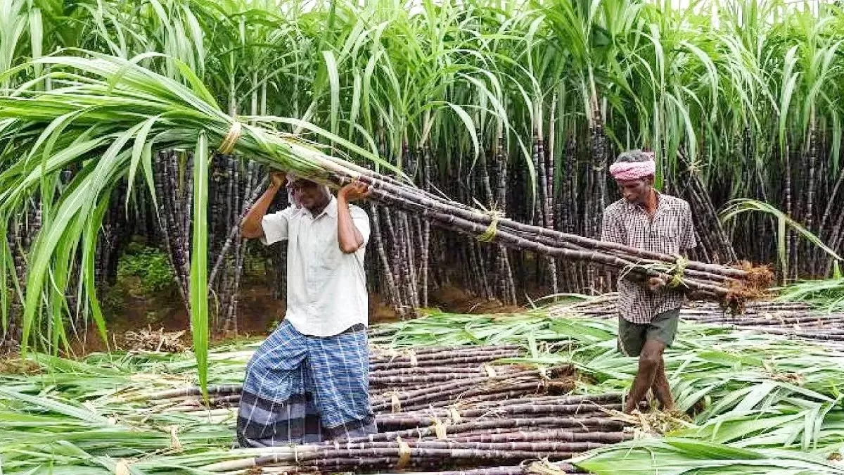 Uttar Pradesh News: Government's promises were not fulfilled, payment was not made in 14 days and farmer's income did not double