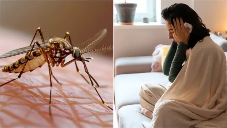 Dengue continues to wreak havoc in Dehradun, total cases 229, health department increases vigilance