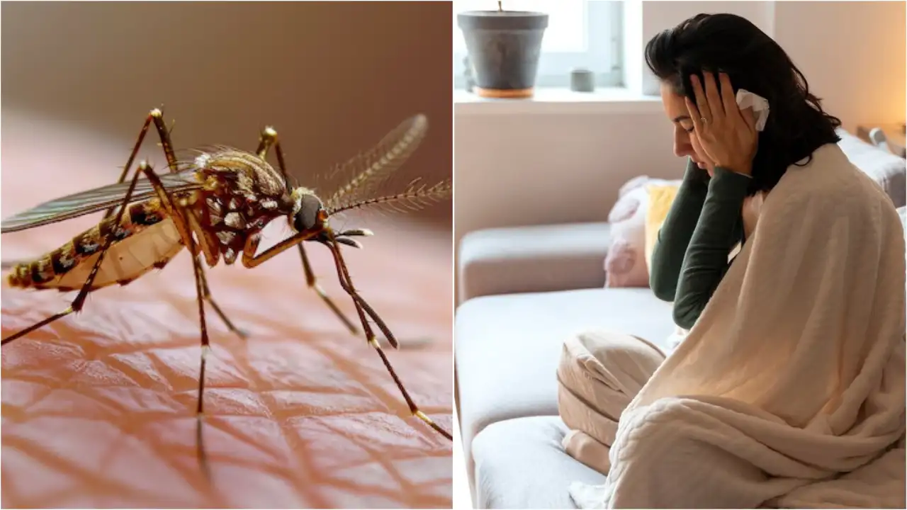 Dengue continues to wreak havoc in Dehradun, total cases 229, health department increases vigilance