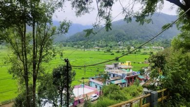 Heavy rain continues in Uttarakhand, Meteorological Department has issued alert till 21st July