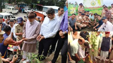 Harela festival celebrated in Uttarakhand, tree plantation program becomes an example of environmental protection