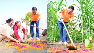 CM Pushkar Dhami reached Khatima and planted saplings with his mother, promoted the campaign "One tree in the name of mother"