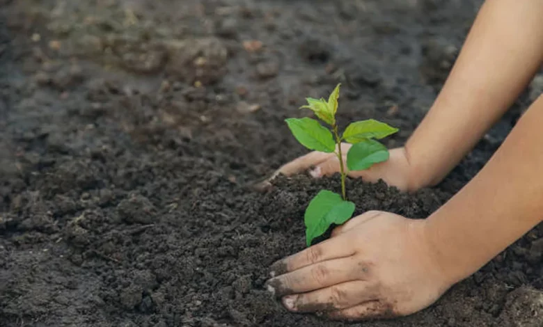 5 lakh saplings will be planted in a single day in Uttarakhand, a new record of environmental protection will be created