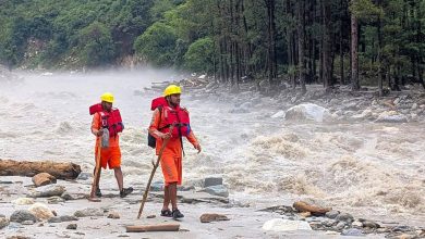 The fierce form of the Beas river, the dreadful scene of devastation after the cloudburst