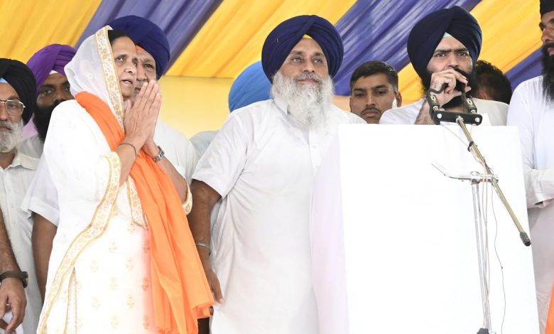 Tarn Taran By-Election: शिअद ने सुखविंदर कौर रंधावा को बनाया उम्मीदवार, आज़ाद ग्रुप का मिला साथ