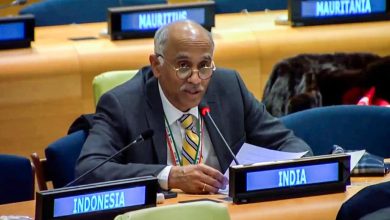 Pakistan becomes the President of the United Nations Security Council, India's diplomatic challenge also deepens