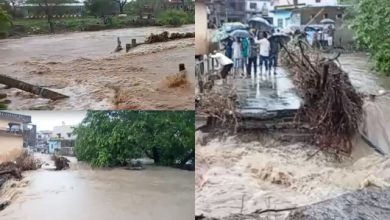 Rain wreaks havoc in MP, more than 20 areas submerged – bridges washed away, rescue operations underway