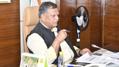 Uttar Pradesh News: Preparations to break the record, 37 crore saplings will be planted in a single day on 9th July in UP