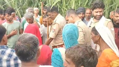 Up Bijnor News: Body of a ten-year-old girl found in a field, death suspected to be due to leopard attack