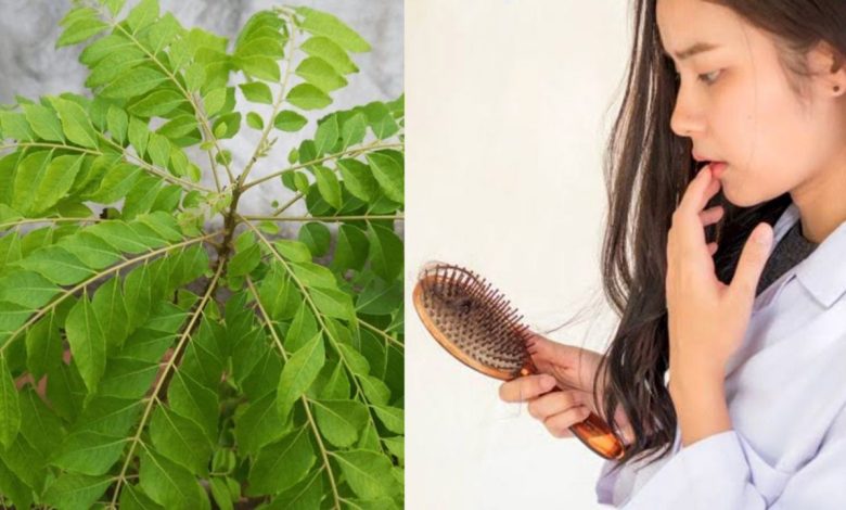 Curry Leaves: झड़ते और कमजोर बालों के लिए चमत्कारी इलाज