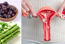 Superfoods for PCOS Balance: पीसीओएस में वजन घटाने और हार्मोन संतुलन में मददगार है ये सुपरफूड्स