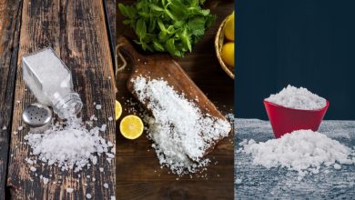 Salt Disadvantages: ज्यादा नमक खाना सेहत के लिए खतरनाक, जानिए इसके लक्षण और बचाव के उपाय
