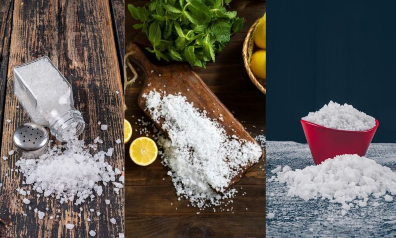Salt Disadvantages: ज्यादा नमक खाना सेहत के लिए खतरनाक, जानिए इसके लक्षण और बचाव के उपाय
