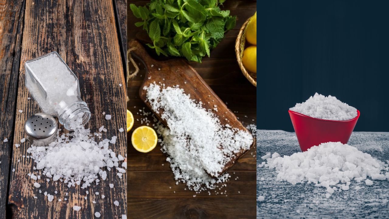 Salt Disadvantages: ज्यादा नमक खाना सेहत के लिए खतरनाक, जानिए इसके लक्षण और बचाव के उपाय