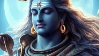 shiv (4)