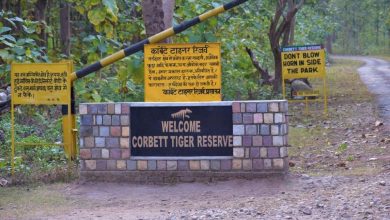 Human-wildlife conflict increasing in Corbett Tiger Reserve, administration in strict action