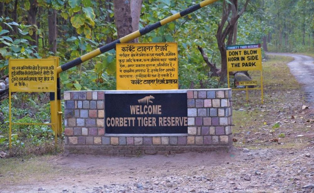 Human-wildlife conflict increasing in Corbett Tiger Reserve, administration in strict action
