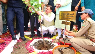 Harela Festival Plantation: Success of plantation on Harela festival vs. failure of forest department, big difference in survival rate becomes a matter of concern