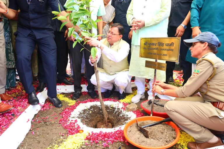 Harela Festival Plantation: Success of plantation on Harela festival vs. failure of forest department, big difference in survival rate becomes a matter of concern