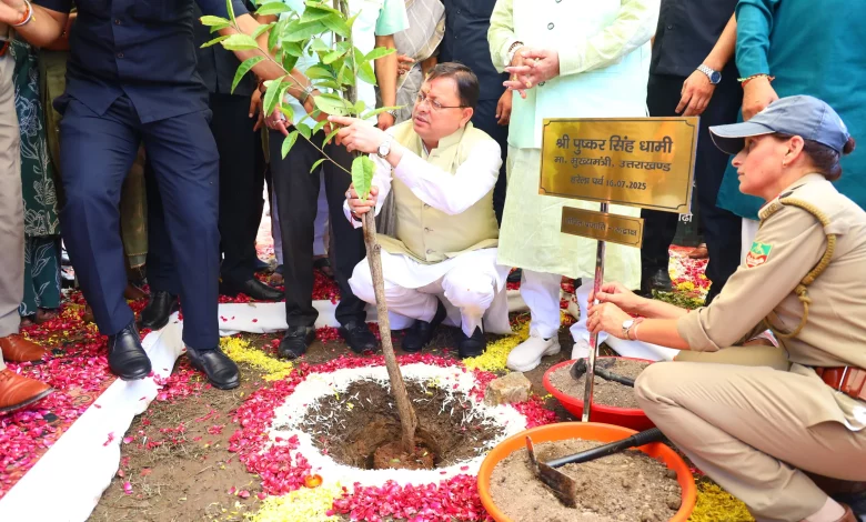 Harela Festival Plantation: Success of plantation on Harela festival vs. failure of forest department, big difference in survival rate becomes a matter of concern