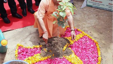 Uttar Pradesh News: Maha Abhiyan 'Ek Ped Maa Ke Naam': Yogi government will create history by planting 37 crore saplings in UP today!