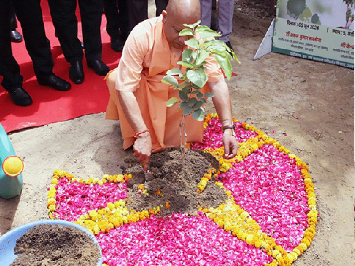 Uttar Pradesh News: Maha Abhiyan 'Ek Ped Maa Ke Naam': Yogi government will create history by planting 37 crore saplings in UP today!