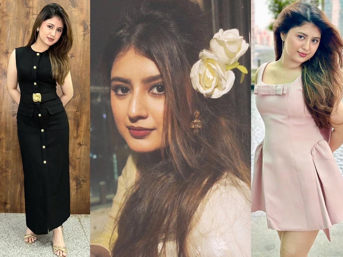 Big Boss 19: Who is Arishfa Khan from UP, who will rock BB19?