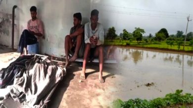 3 Siblings Died: The death of three innocent children has spread mourning in the village, three siblings drowned in the water filled in the field