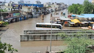 Rajasthan Monsoon: Monsoon broke 10 year record in Rajasthan, 160% more rain in June