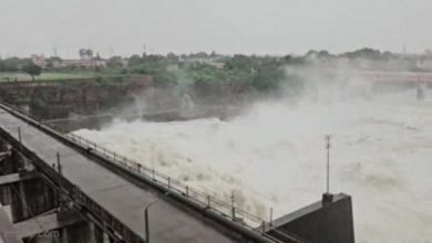 Rajasthan Weather Update: Danger of flood in Rajasthan! Gates of Kota Barrage and Jawahar Sagar Dam opened, alert on Chambal banks