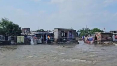 Rajasthan Rain News: Rain wreaks havoc in Rajasthan, forest department post collapses in Pratapgarh, three children die a painful death