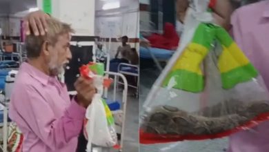 Rajasthan: This is the one that has bitten me, sir... The young man reached the hospital with the snake in a bag, video goes viral