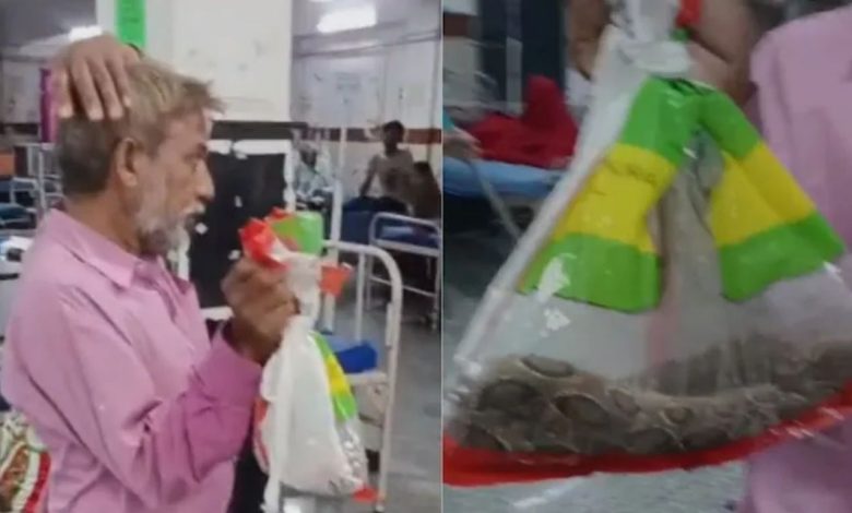 Rajasthan: This is the one that has bitten me, sir... The young man reached the hospital with the snake in a bag, video goes viral