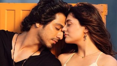 Saiyaara Box Office Collection: Ahaan Pandey's 'Saiyaara' rocked the box office with a stormy opening, know the collection so far