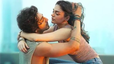 Sayara Box Office Collection: Sayara created a stir at the box office, earned ₹ 172.50 crores in the first week, Aamir-Salman left behind