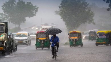 With the onset of monsoon in Chhattisgarh, vegetable markets were filled with water, light rain exposed the system.