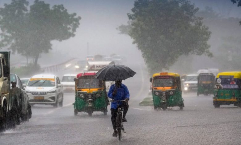 With the onset of monsoon in Chhattisgarh, vegetable markets were filled with water, light rain exposed the system.