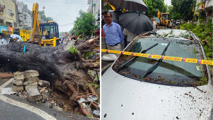 Delhi Rain Waterlogging: Tree fell on bike and car in Delhi, father and daughter injured… Trouble due to waterlogging and traffic jam!
