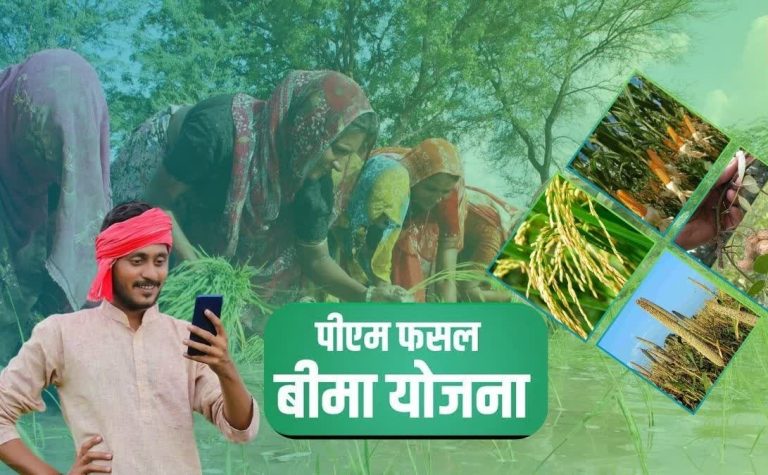Crop worth 7 lakhs destroyed, compensation only 1274! Farmer said- I will return the money to the Prime Minister